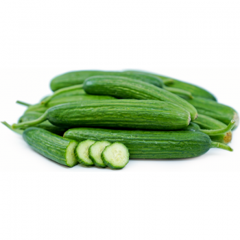 Seedless Cucumber
