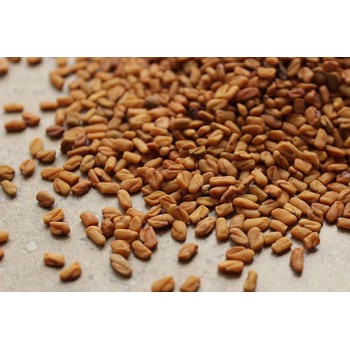 FENUGREEK SEED