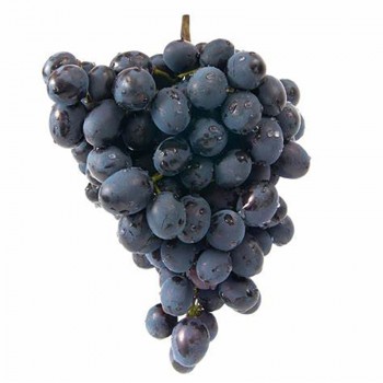 Black Ribier Grapes